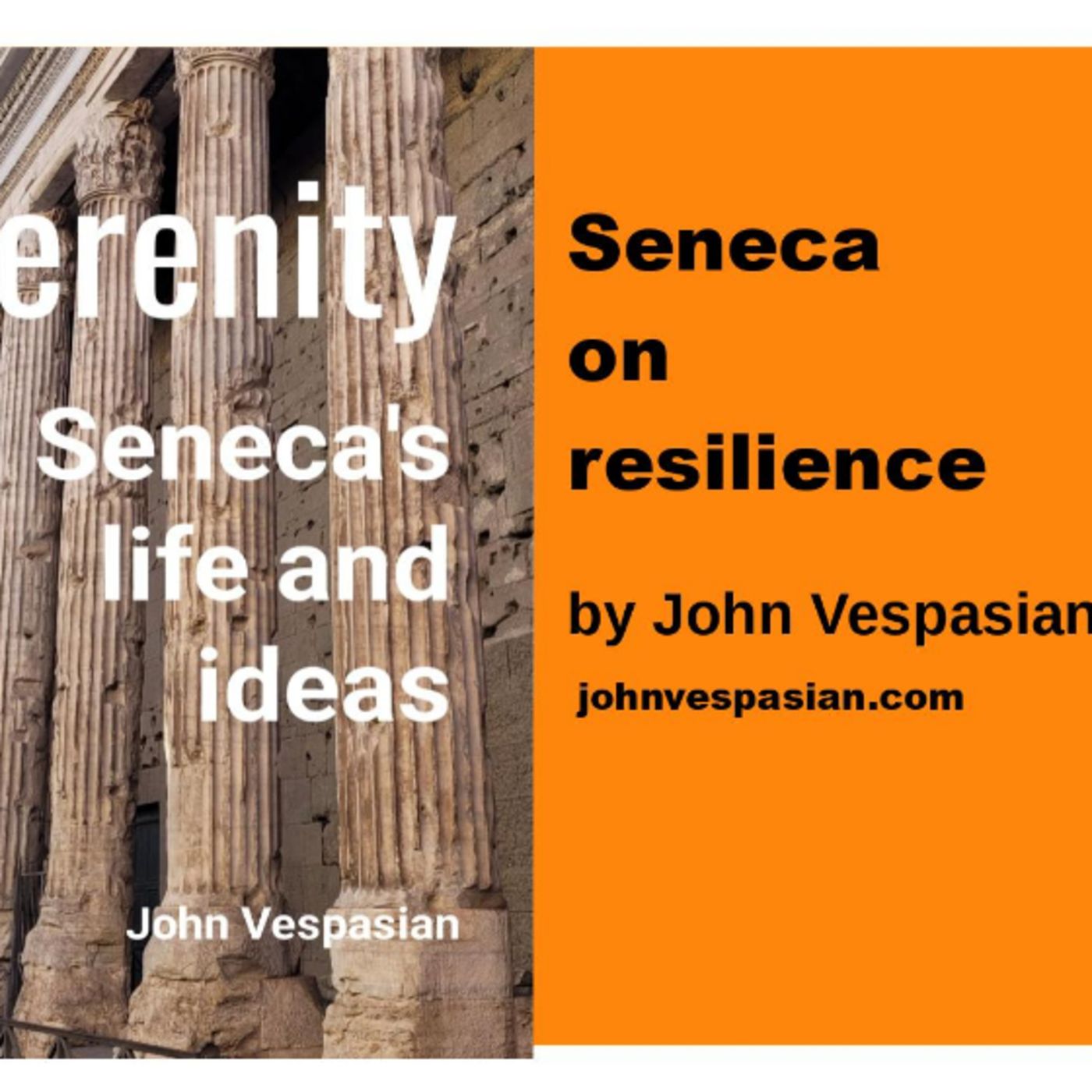 Seneca on resilience episode artwork
