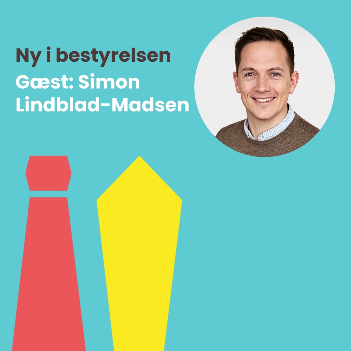Ny i bestyrelsen