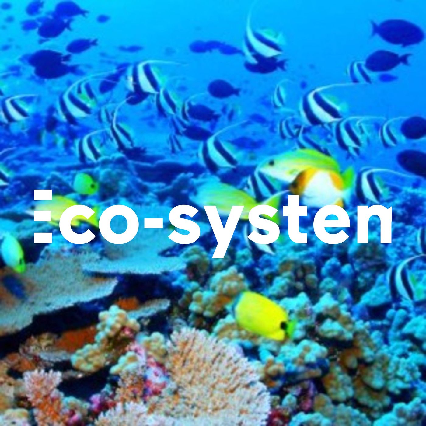 Eco-system