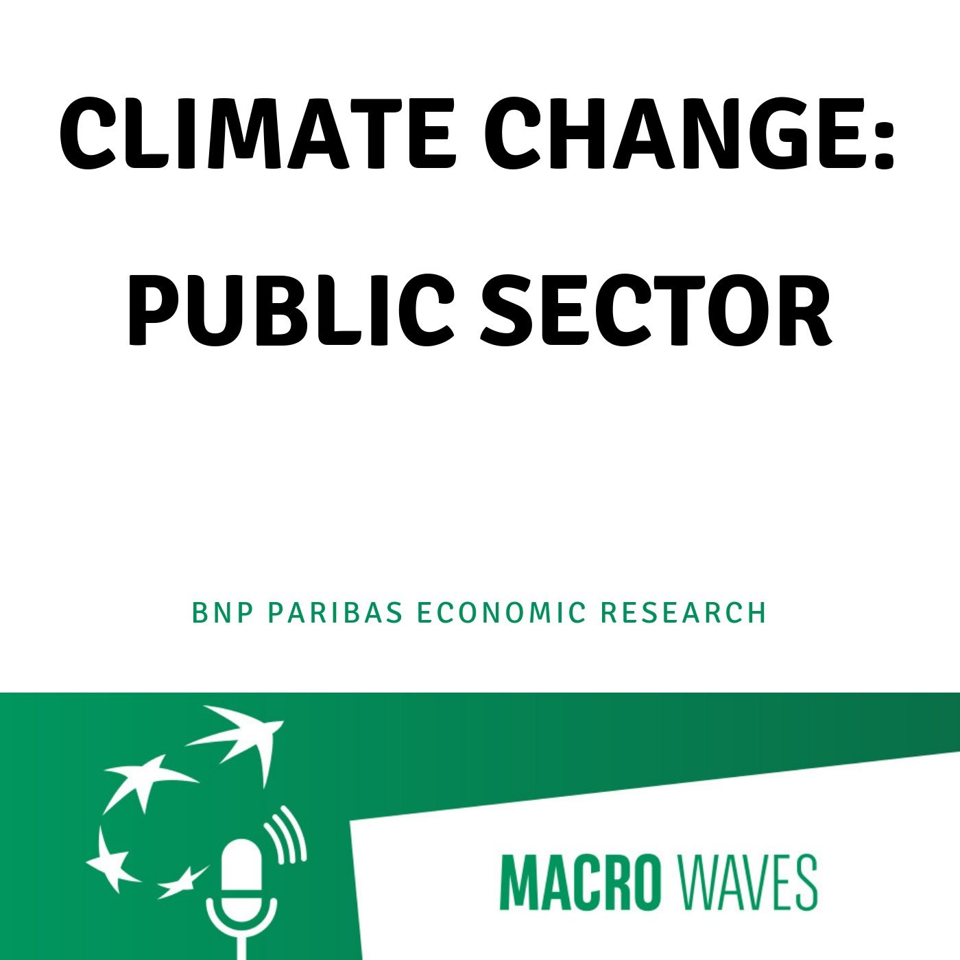 #04 – Changement climatique : le secteur public