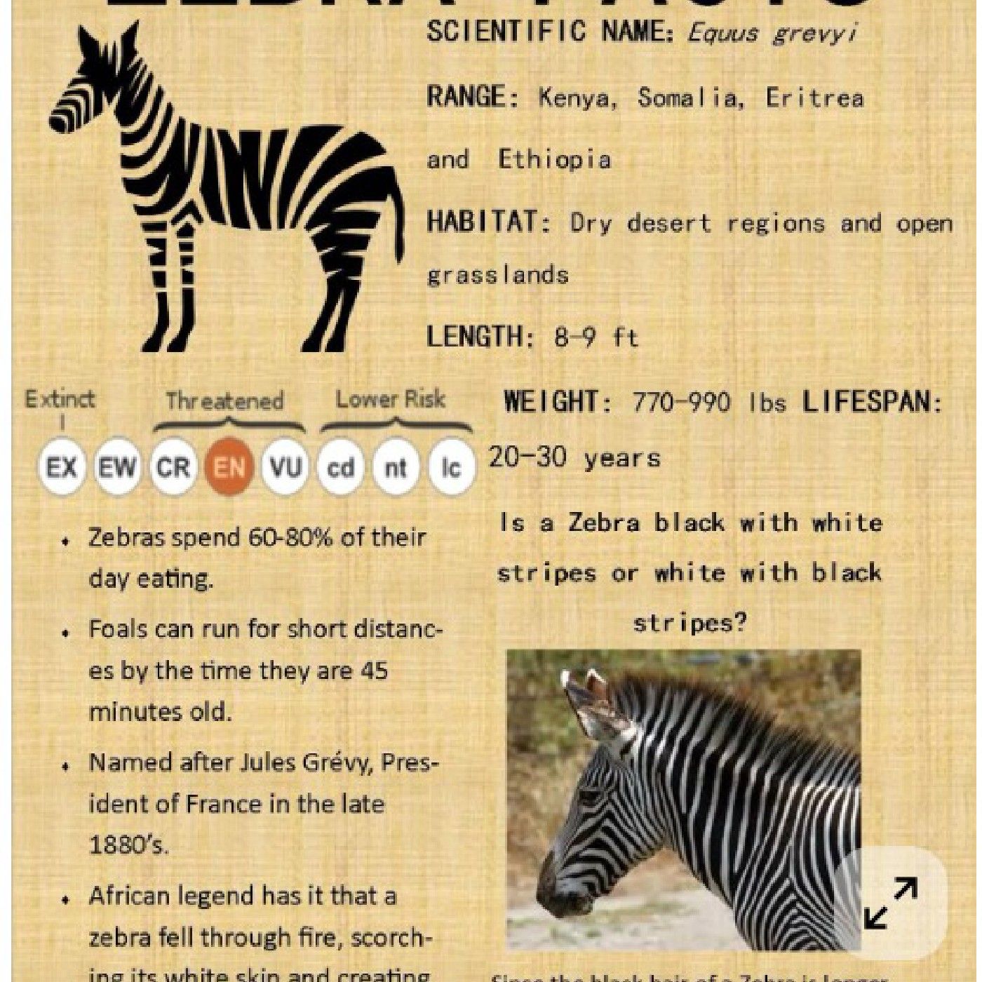 Fact Sheet Activity