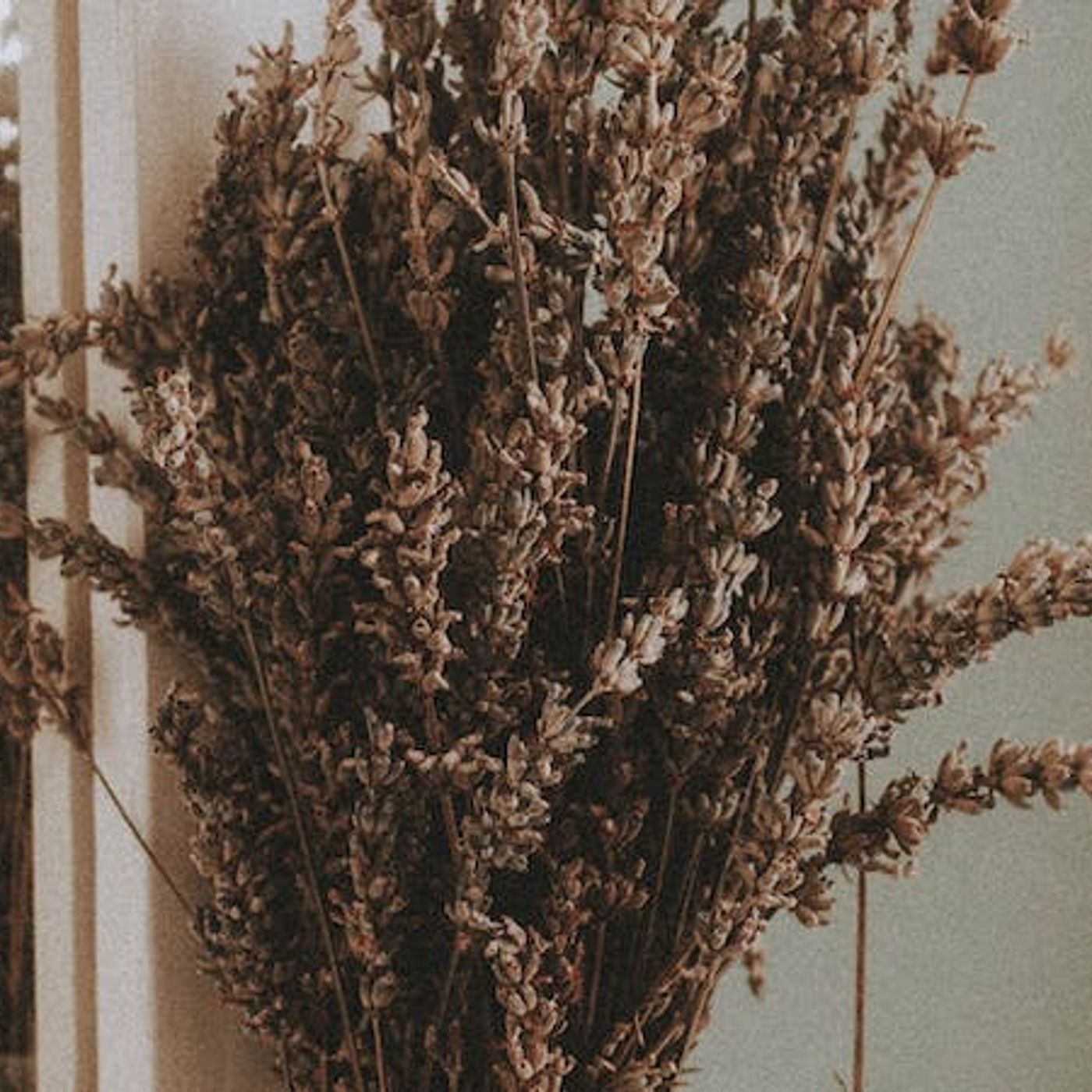 The Disabled Wife and the Proverbs 31 Woman