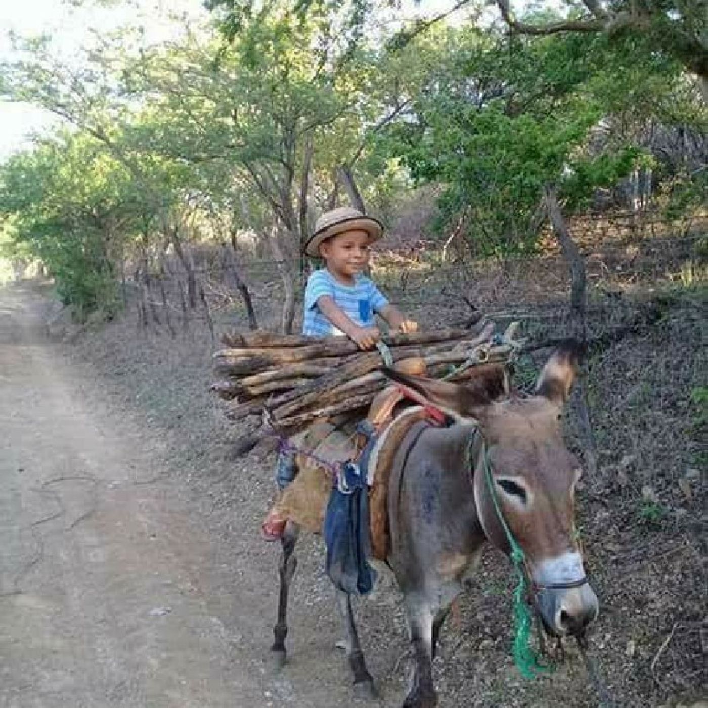 Radiodelsur.com cover art