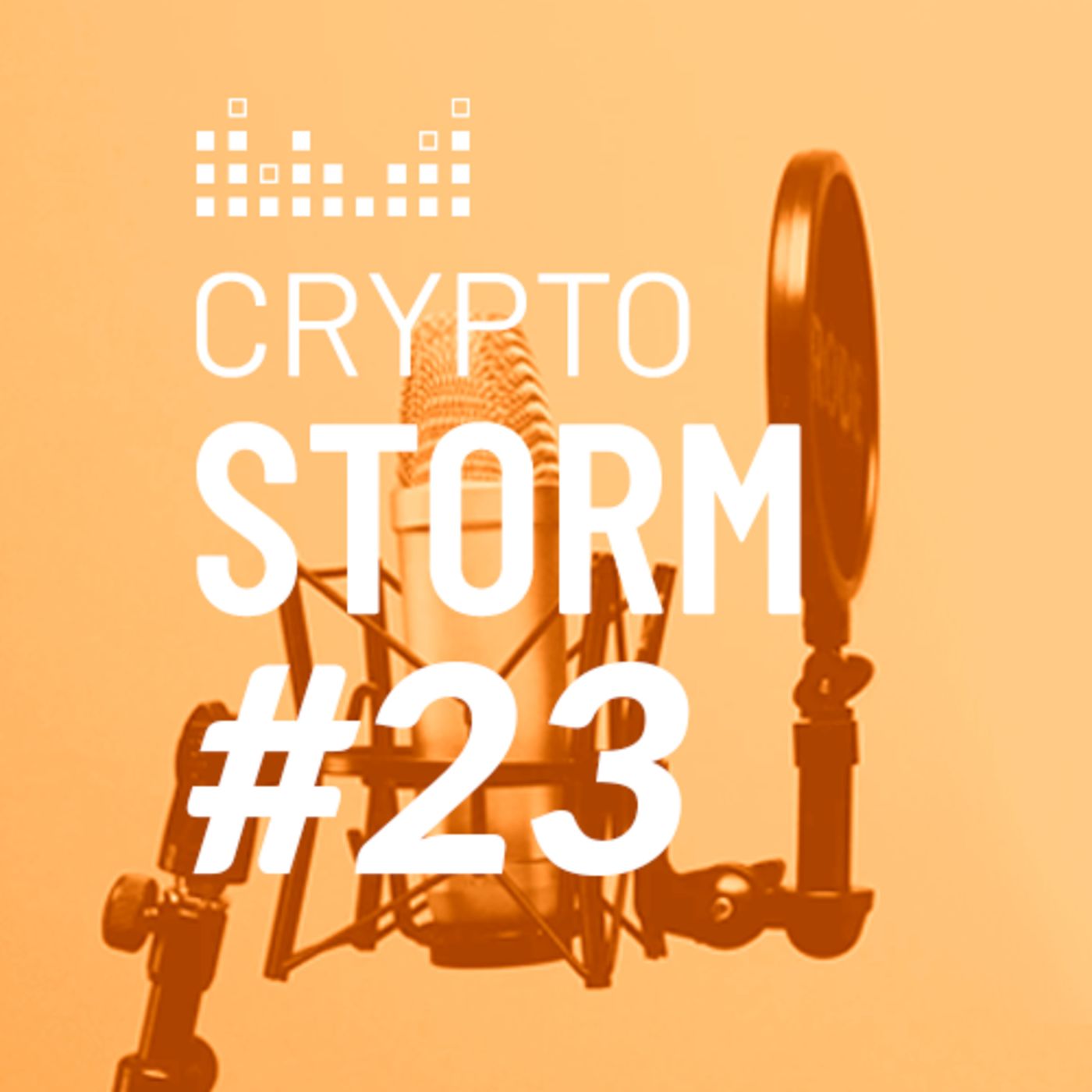 Crypto Storm