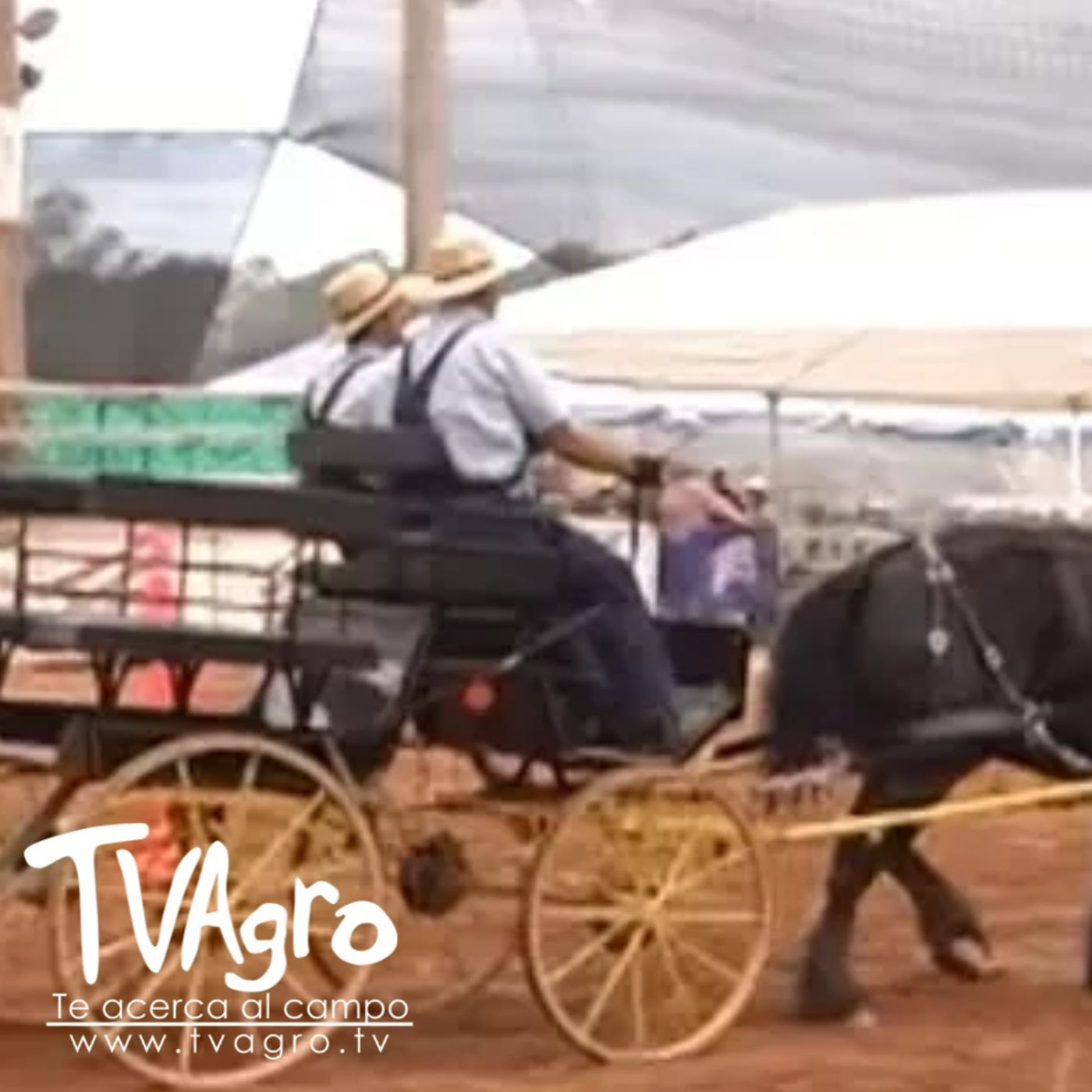 TV AGRO