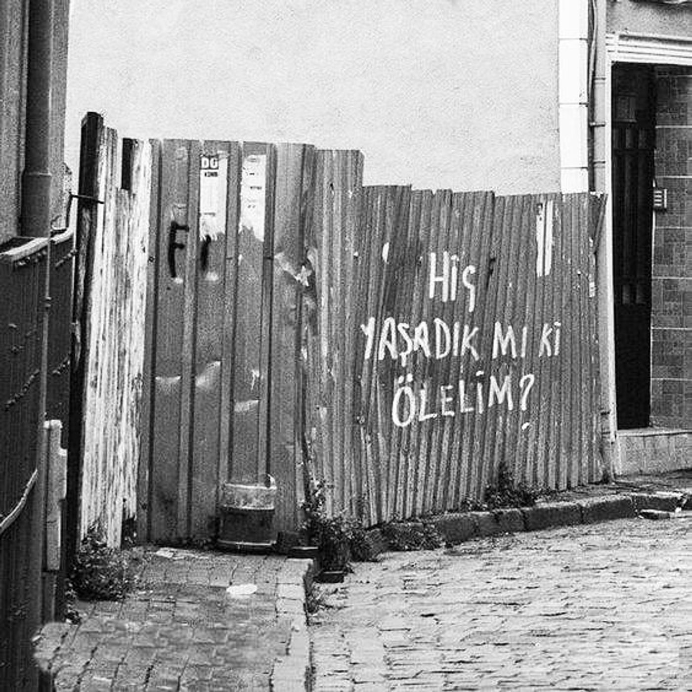 rina - akşam güneşi