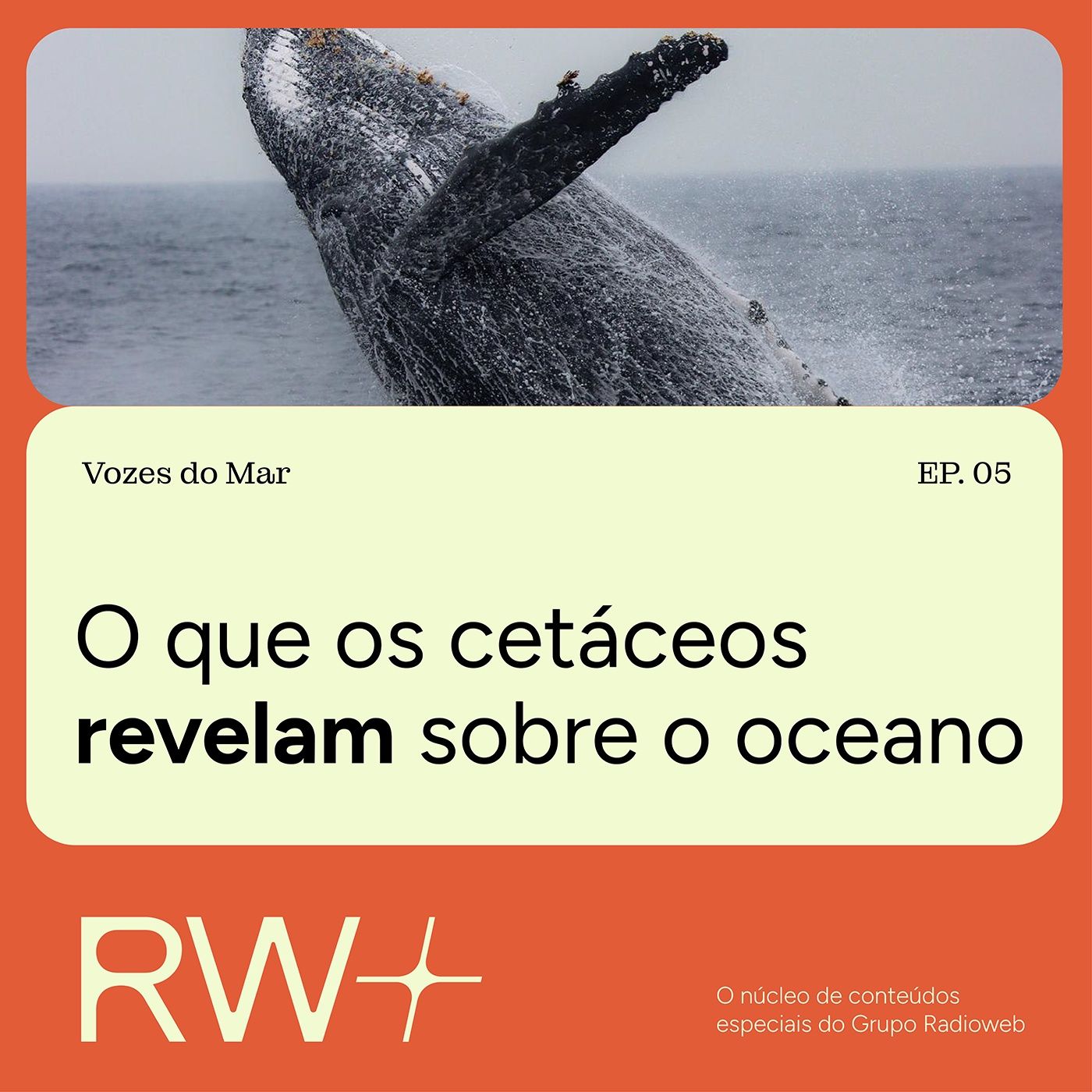 Vozes do Mar: baleias revelam sinais de alerta nos oceanos episode artwork