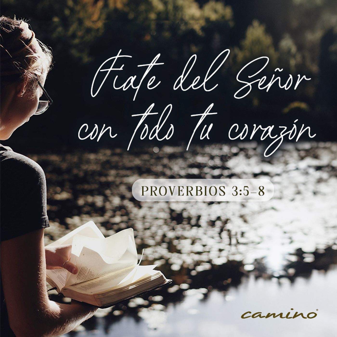 Oración 21 de julio  (Fiate del Señor con todo tu corazón) episode artwork