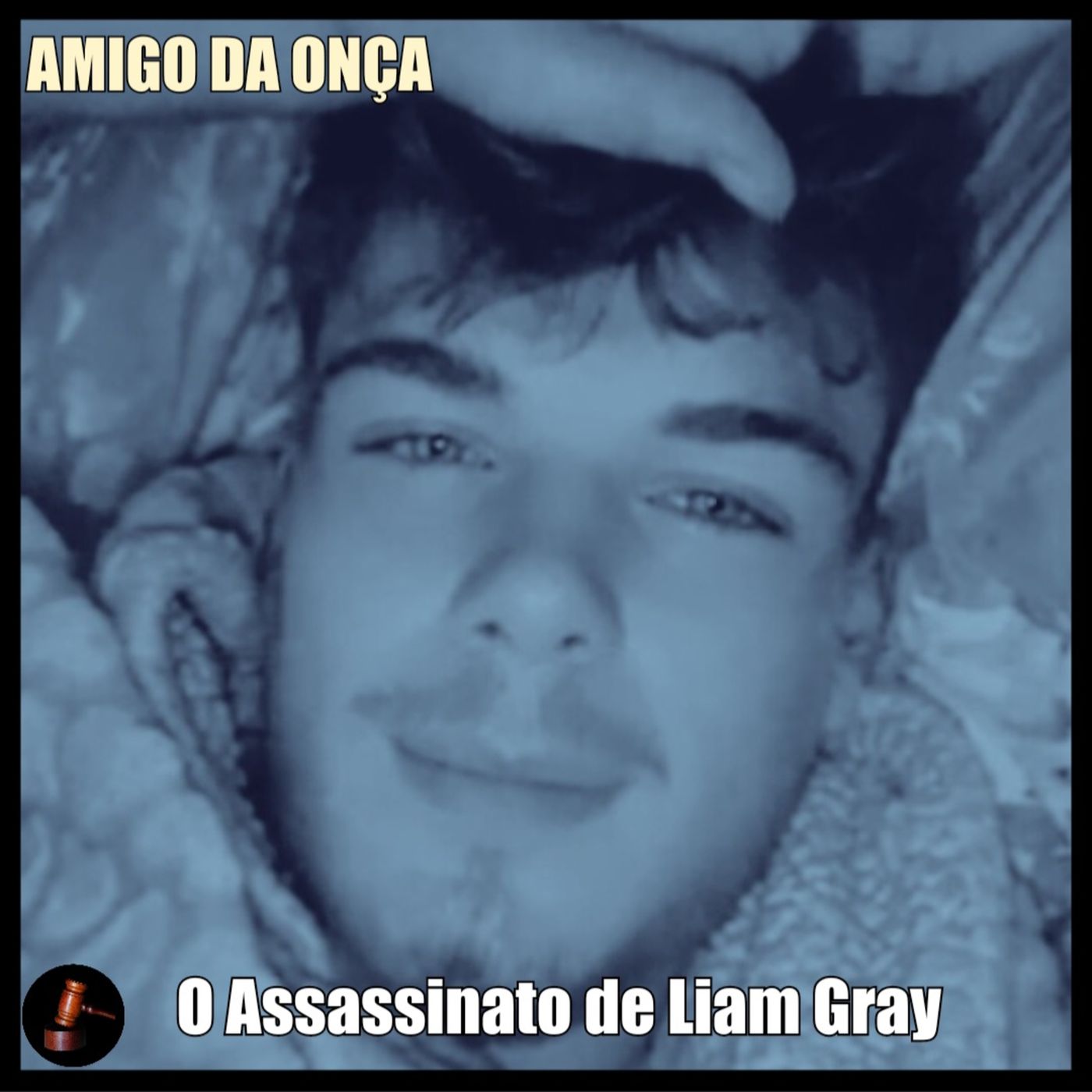 AMIGO DA ONÇA - O Assassinato de Liam Gray episode artwork