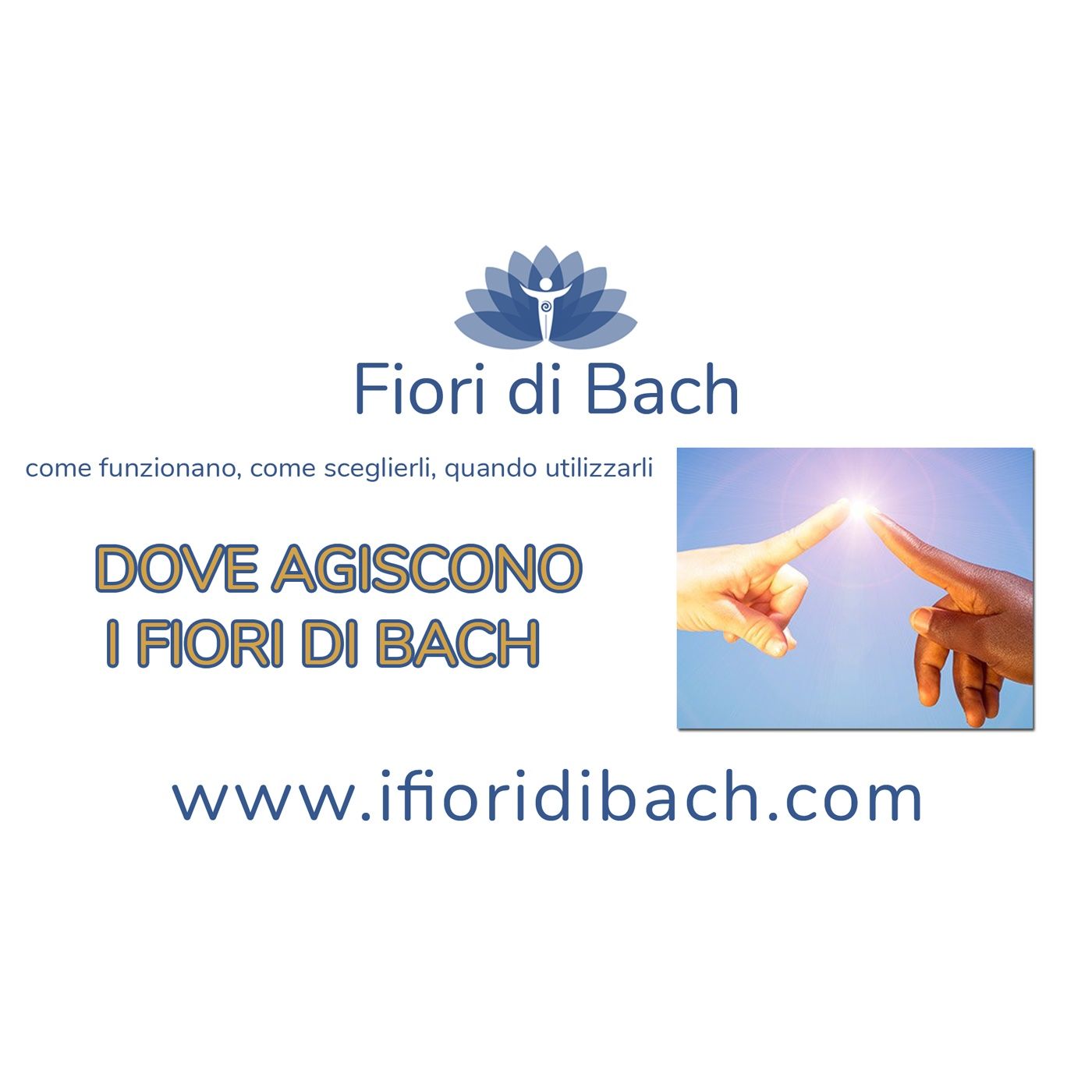 Fiori di Bach in pillole