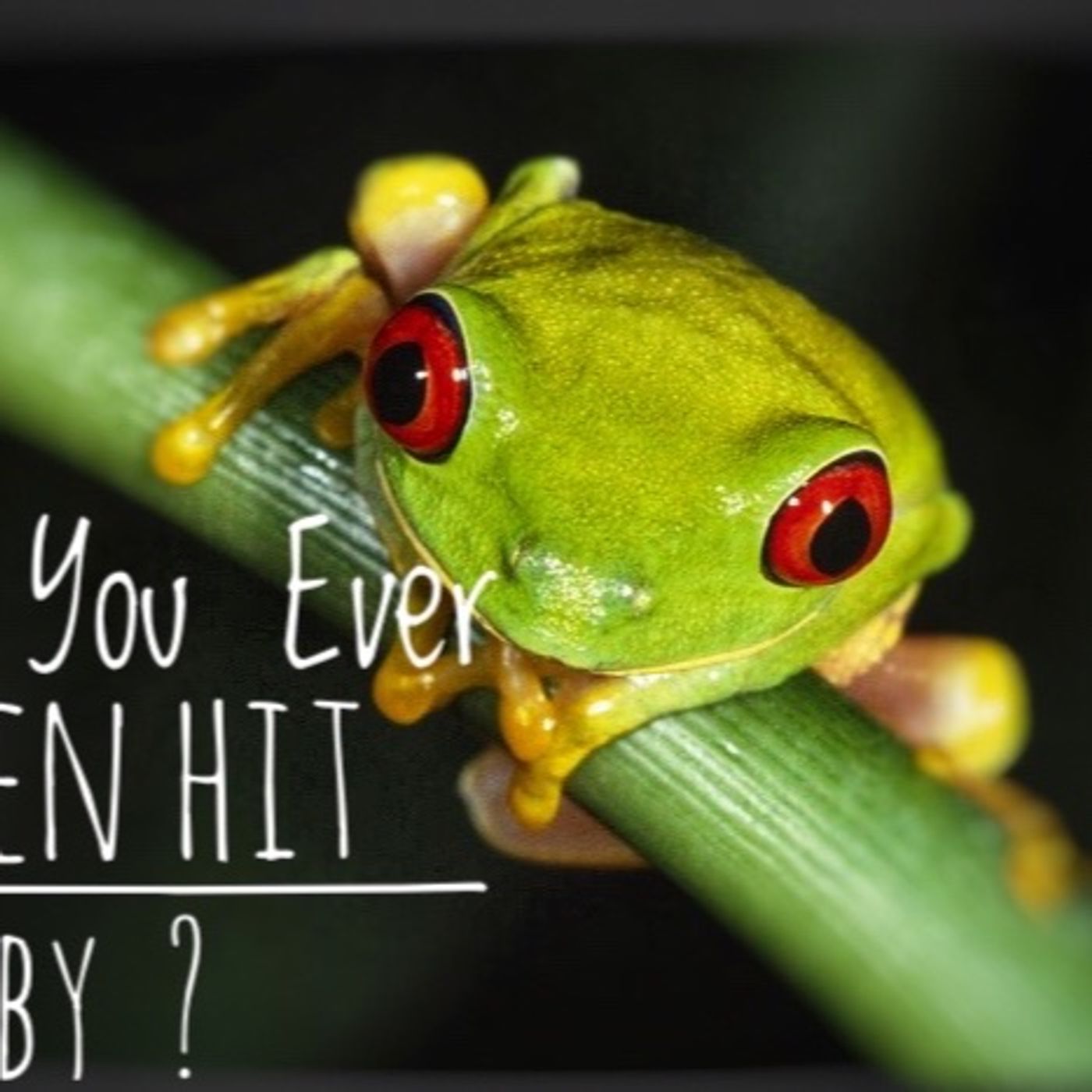 Episode 22 - Hit by a Frog episode artwork