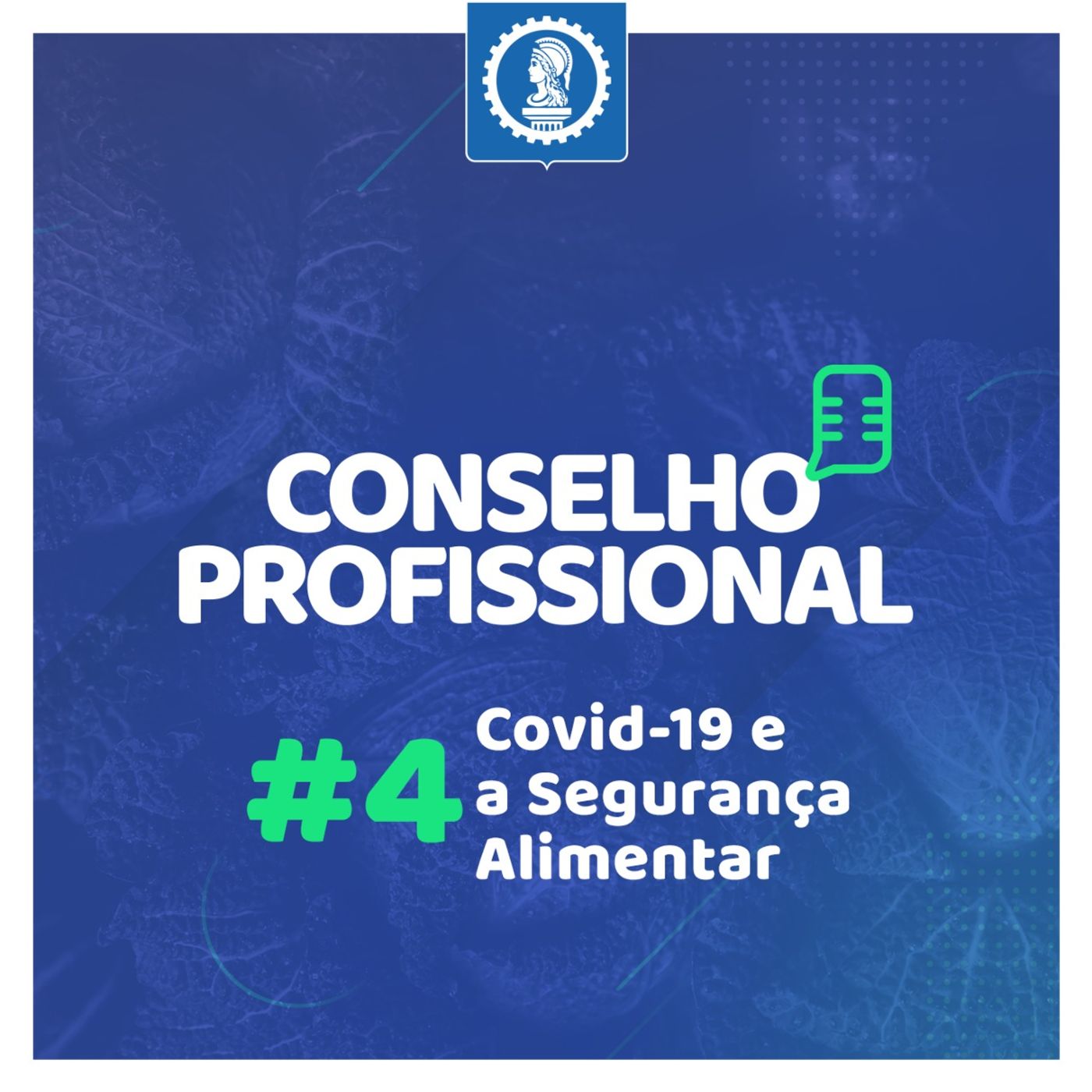 Conselho Profissional