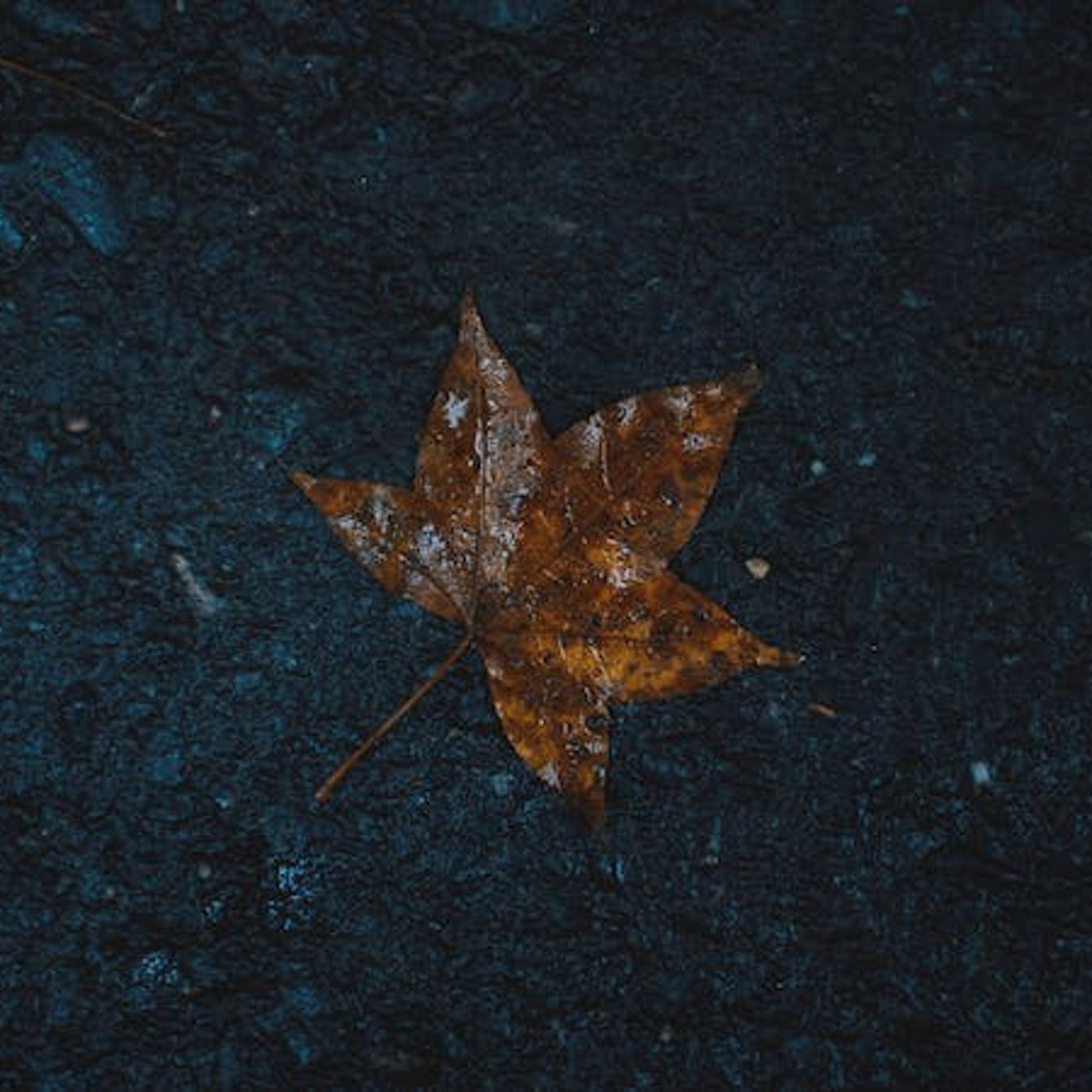 Do My Sins Ruin God’s Plan for My Life?