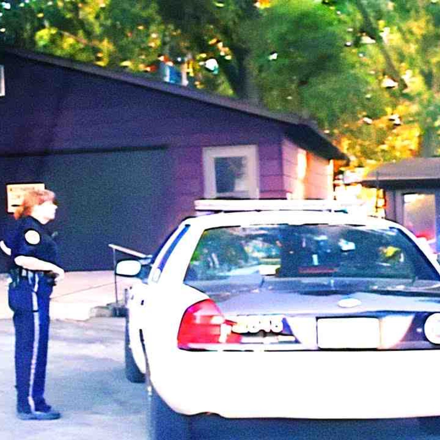When Police Unexpectedly Film The Killer At The Crime Scene episode artwork