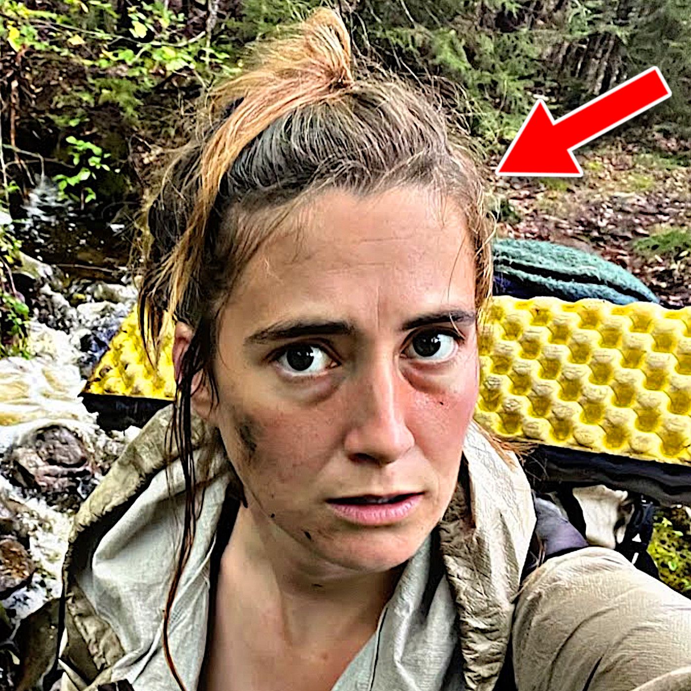 Trail Tales