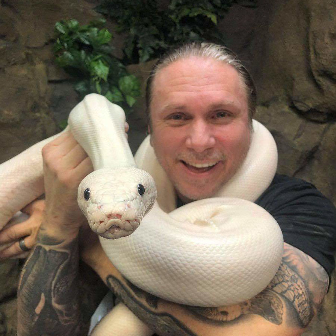 Reptile Chat WA