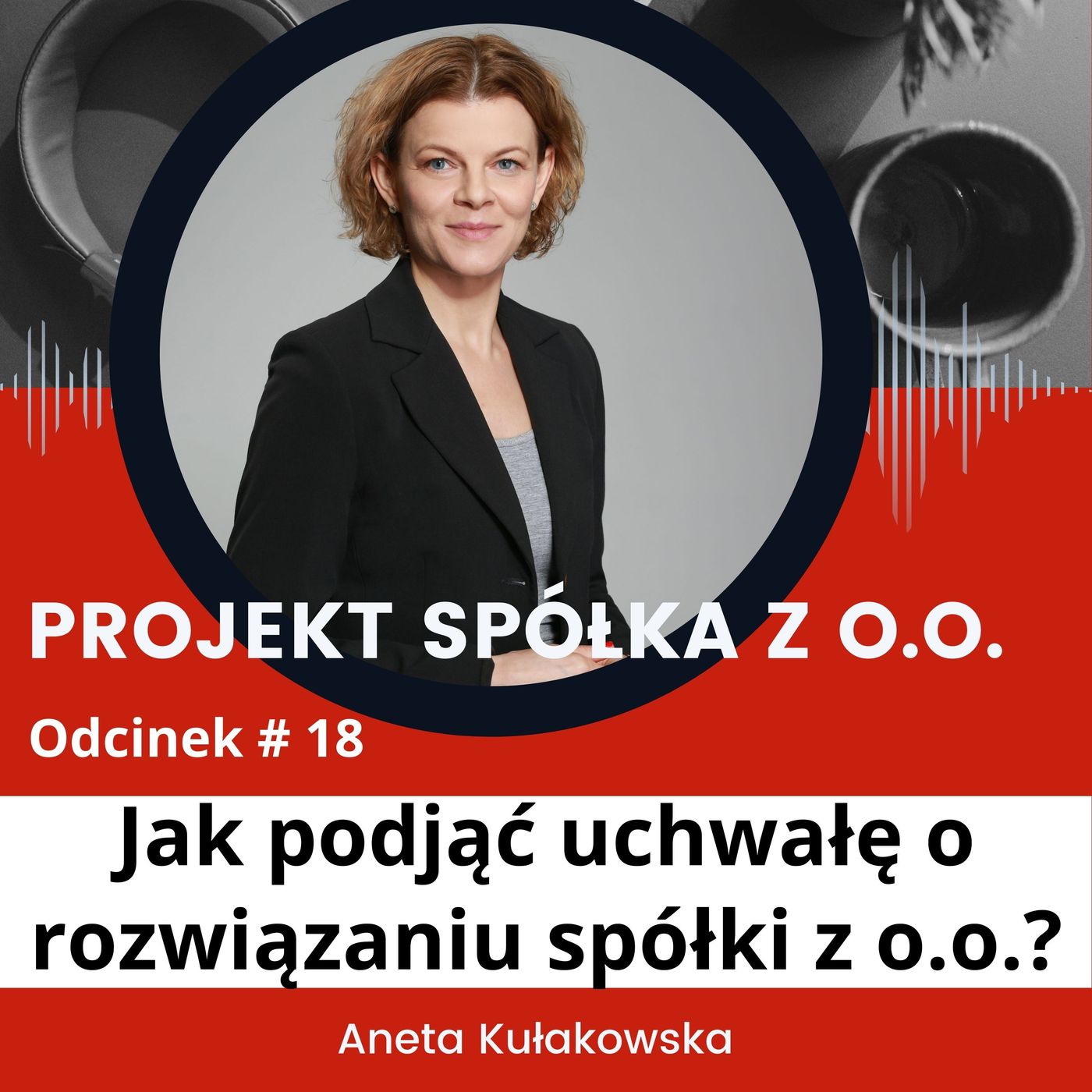 Projekt SPÓŁKA Z O.O.