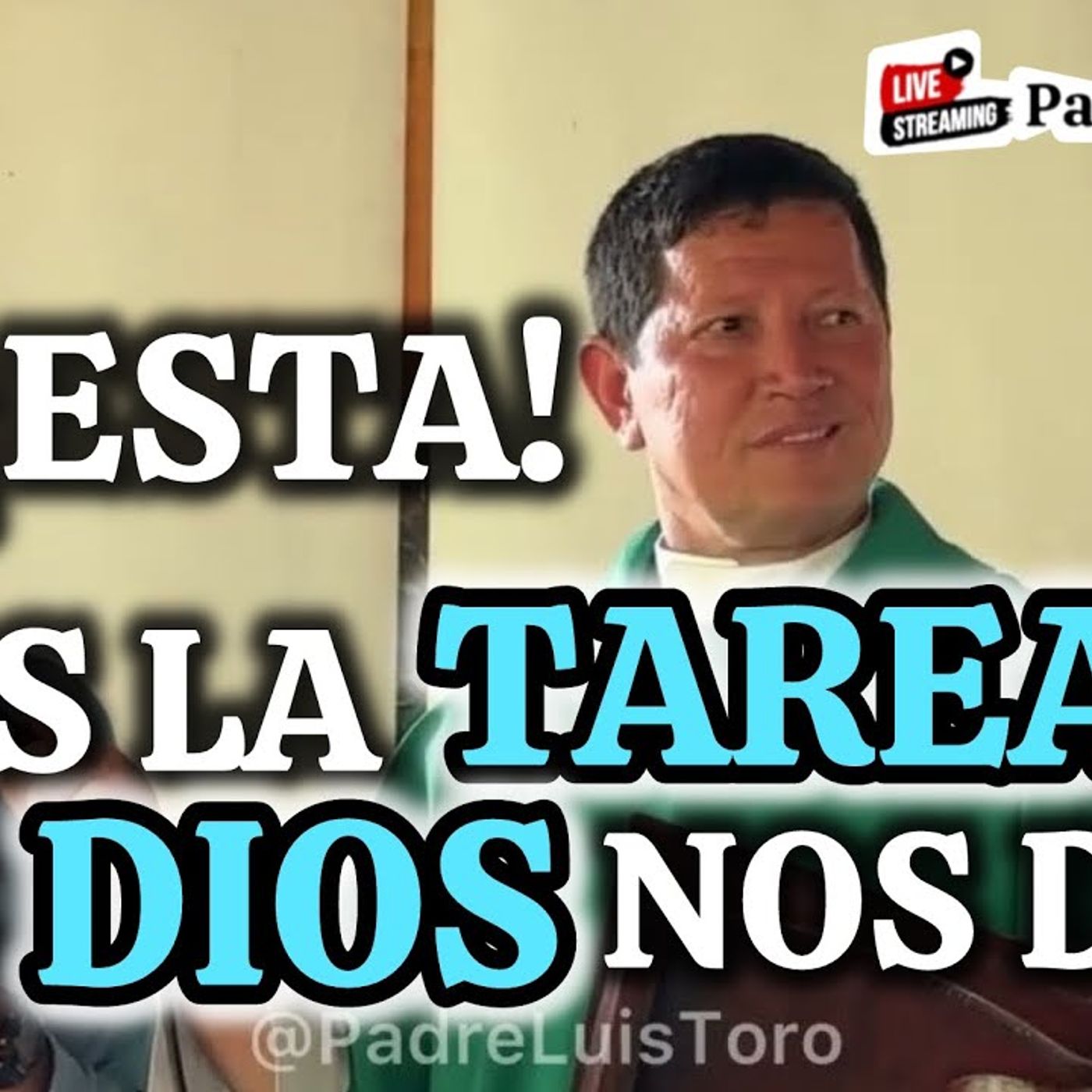 8-26_ JESÚS Nos Ha DEJADO Una MISIÓN_ ¿La ESTÁS CUMPLIENDO_ PADRE LUIS TORO episode artwork