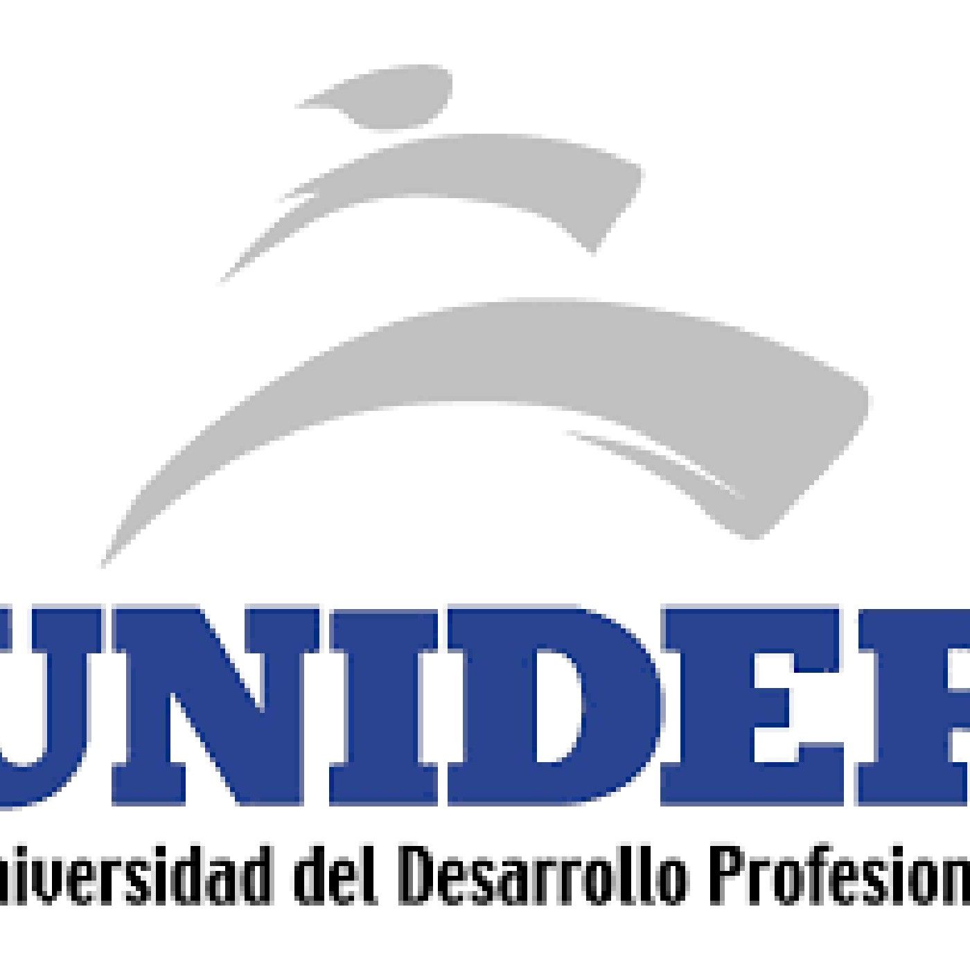 Avances Del Proyecto De Investigación