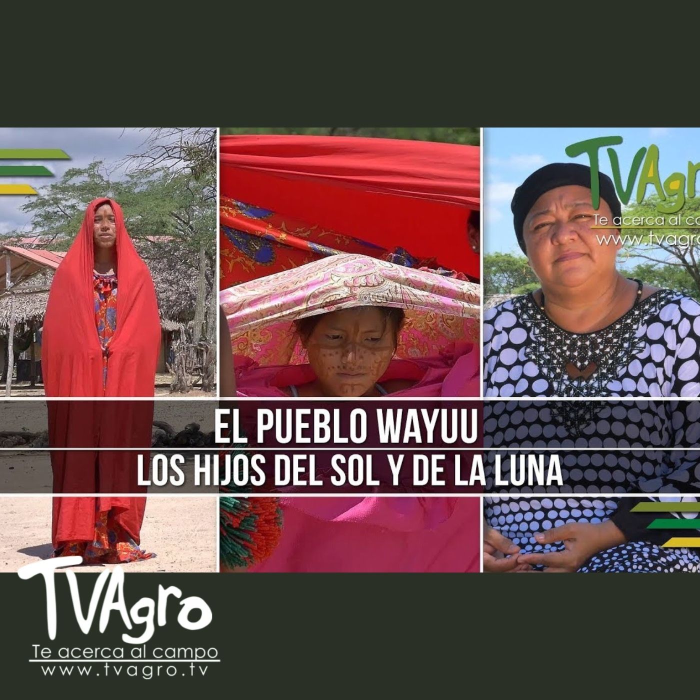 TV AGRO