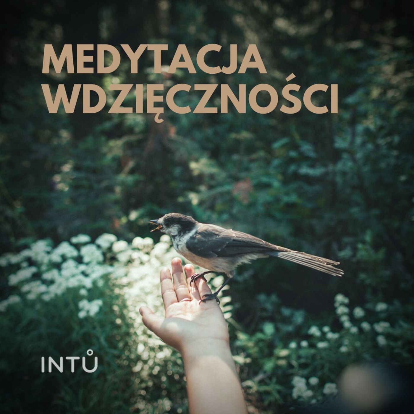 Medytacja wdzięczności - INTU
