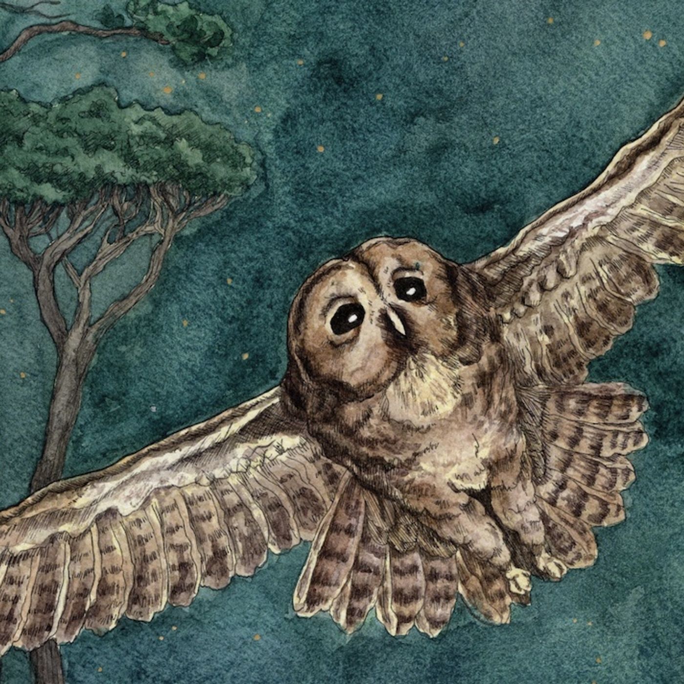Sergio Daniele Donati: Il monito episode artwork