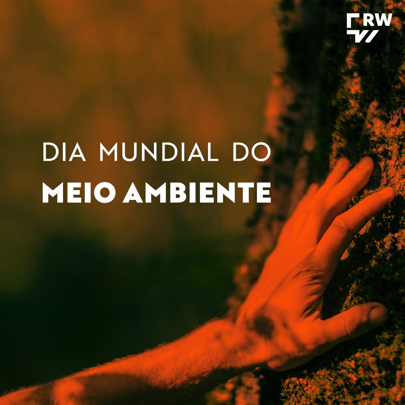 Dia do Meio Ambiente: o que aprender com a tragédia no RS episode artwork