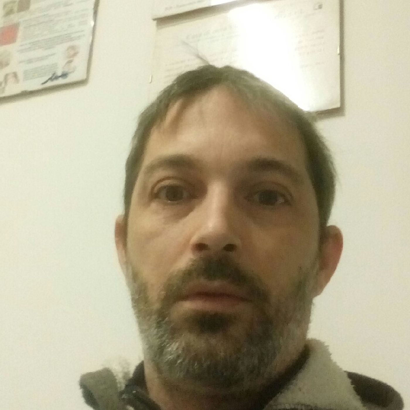 Lo show di stefano ippolito