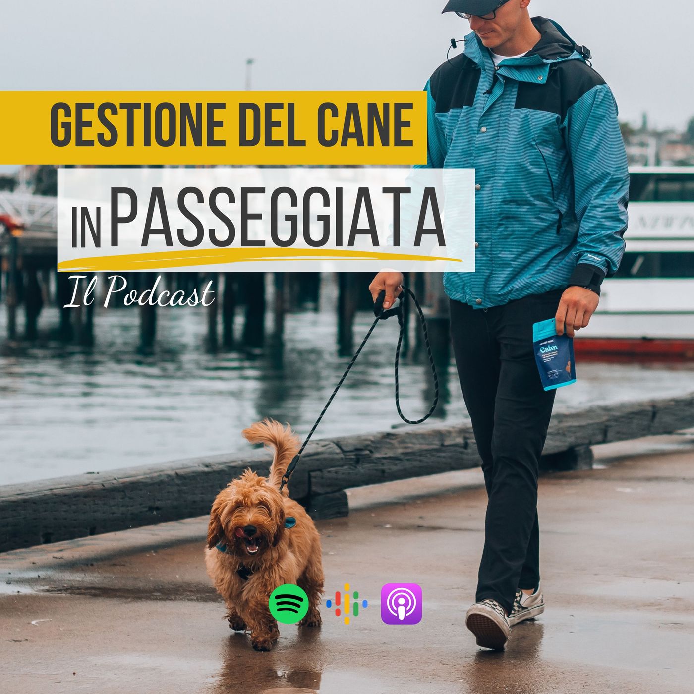126 - q&a Gestione del cane in passeggiata e tanto altro