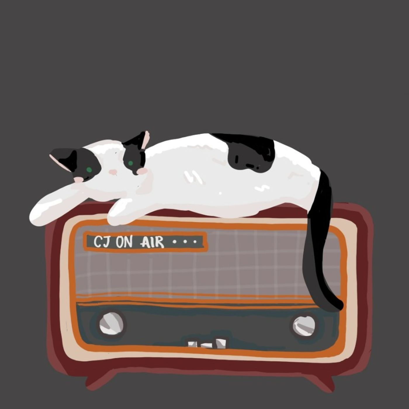 CJ On Air