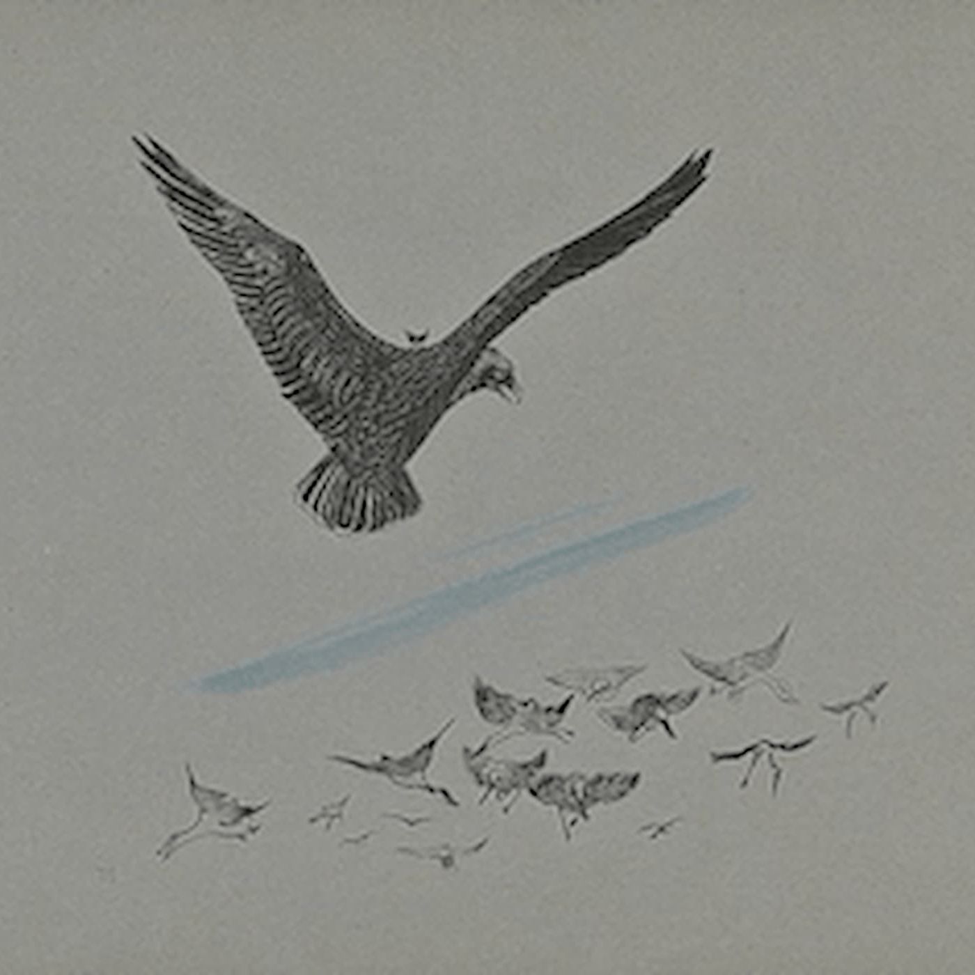 How The Birds Got A King | Fairy Tales episode artwork