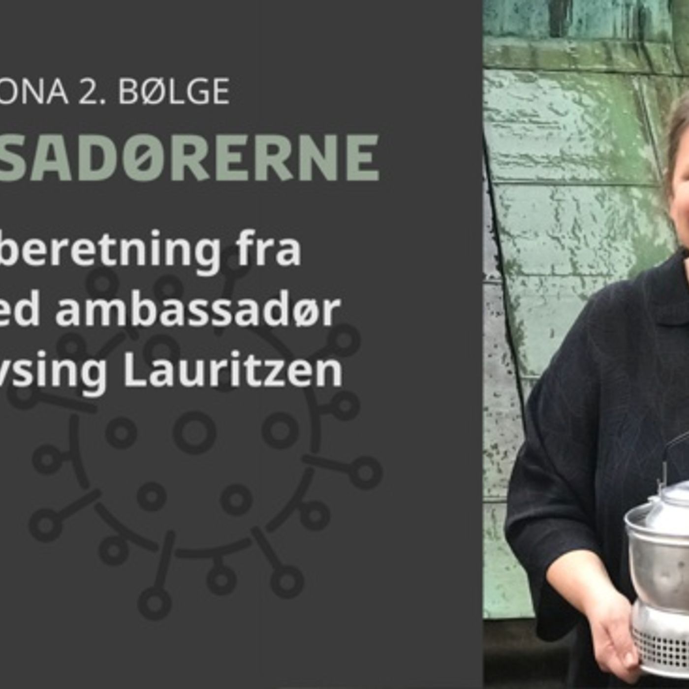 Ambassadørerne