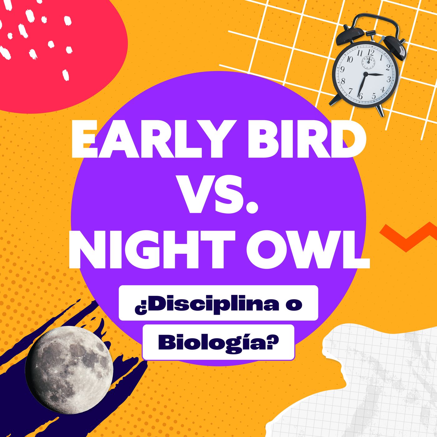 Early Bird vs. Night Owl: ¿Diciplina o Biología?