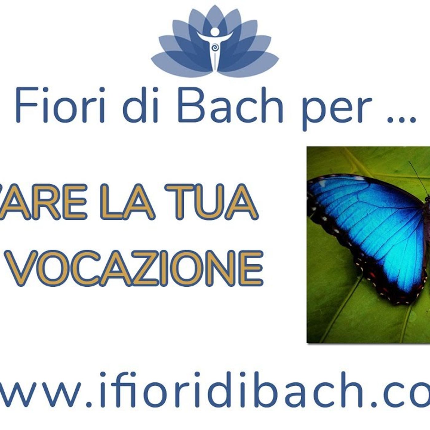 Fiori di Bach per trovare la vera vocazione episode artwork