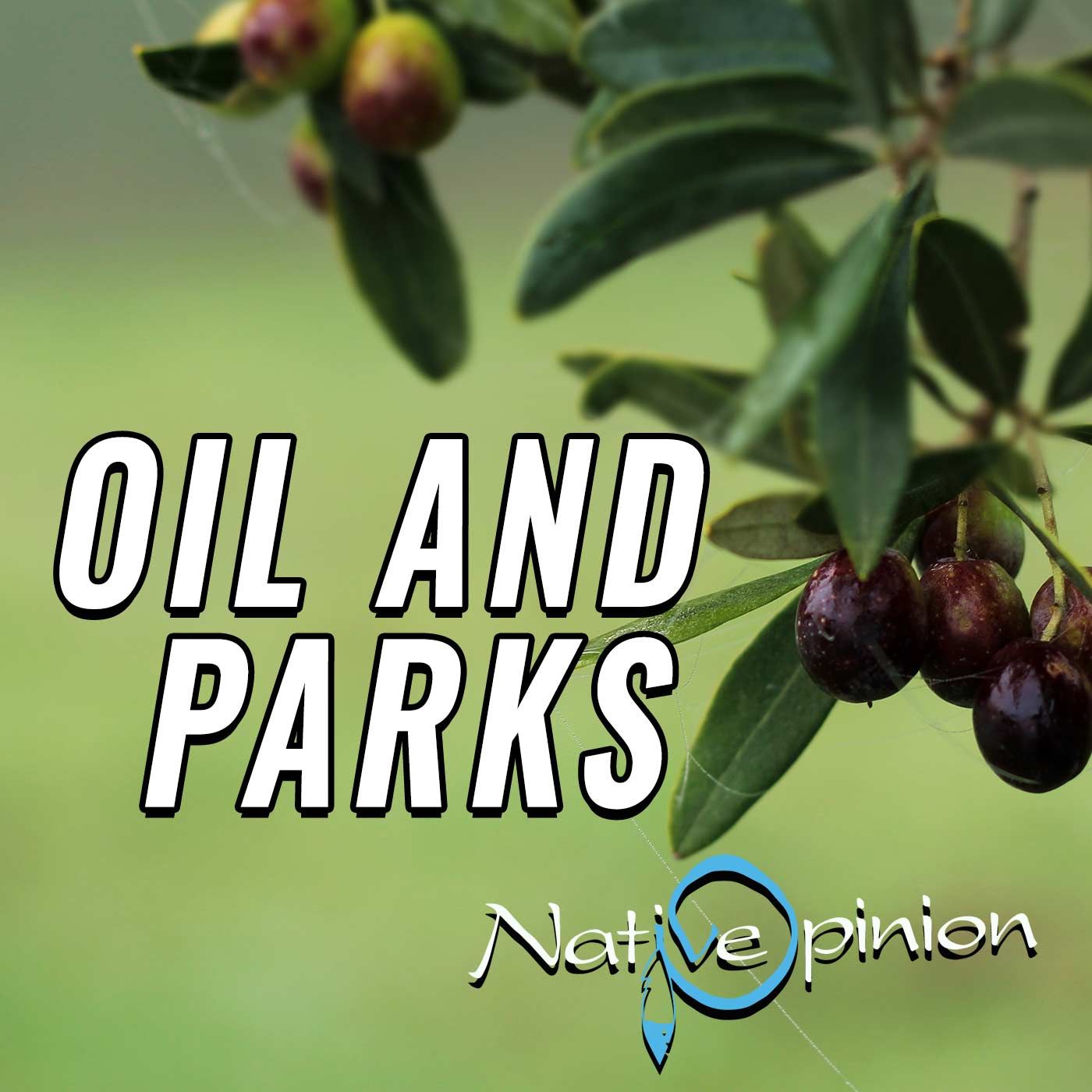 Episode:  276  “OIL AND PARKS.” - podcast episode cover