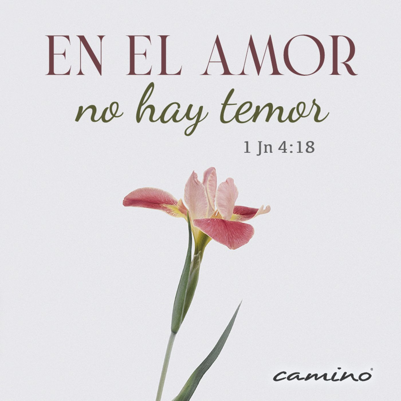 Oración 19 de marzo (En el amor no hay temor) episode artwork