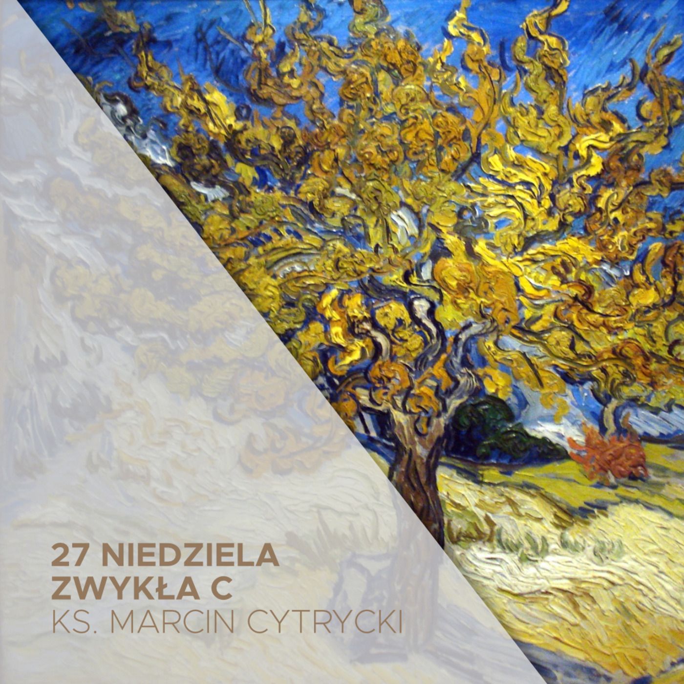 02.10.2022 - 27 Niedziela Zwyka C - Duch mocy miosci i trzezwego myslenia - ks. Marcin Cytrycki episode artwork