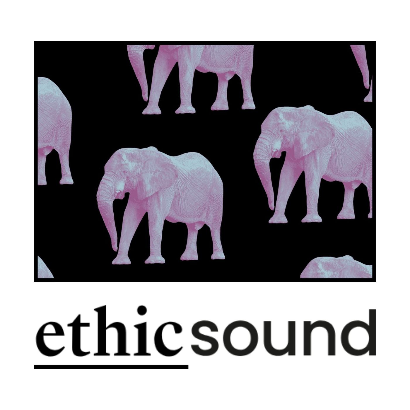 Portada de EthicSound