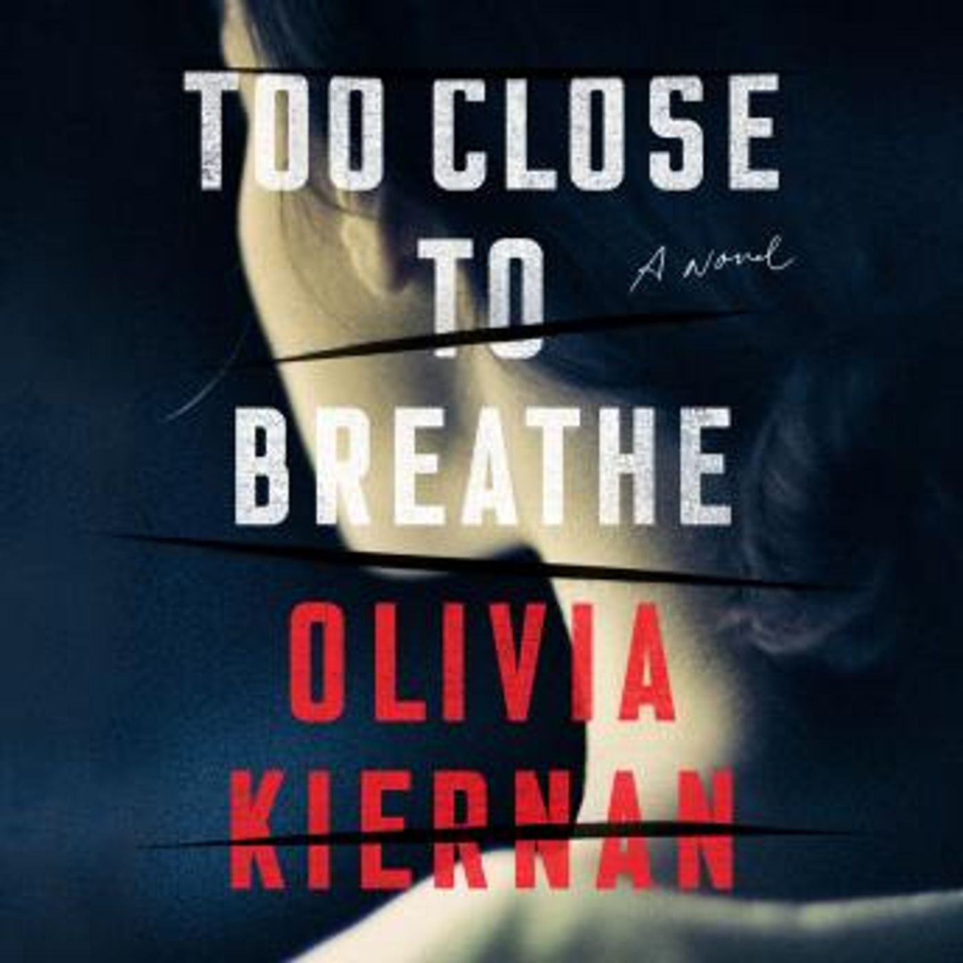 Access Must-Have Free Audiobooks in Mystery, Thriller & Horror, Police & Detective