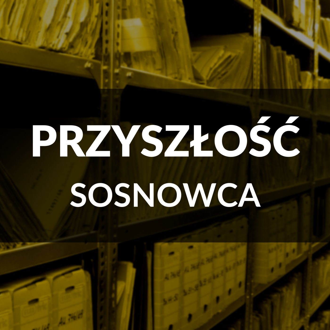 Zagłębie Młodych