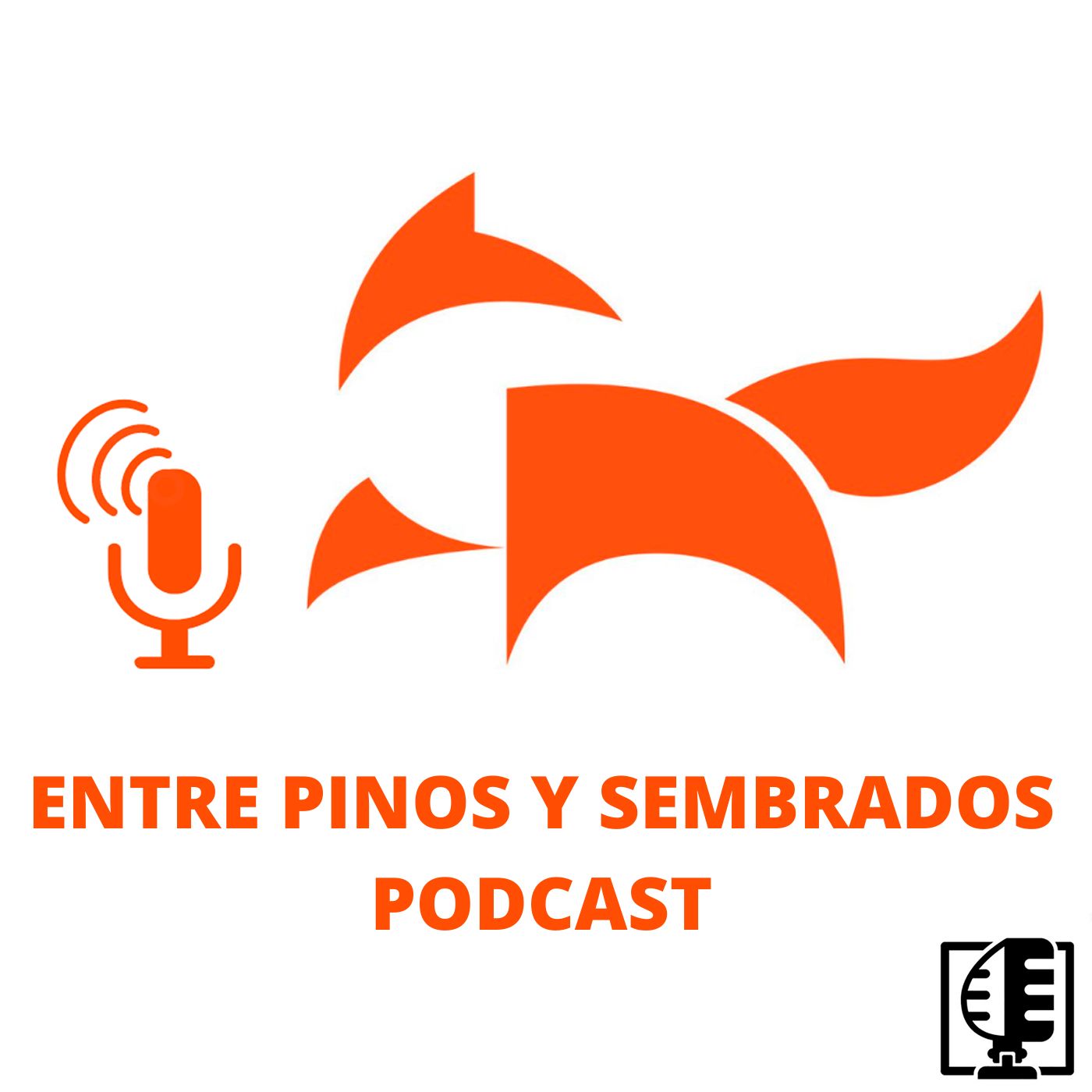 Paisaje sonoro: pinar de pino silvestre (Pinus sylvestris) #11 episode artwork