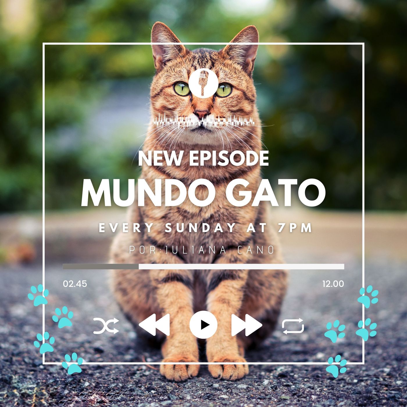 Mundo Gato :3 podcast artwork