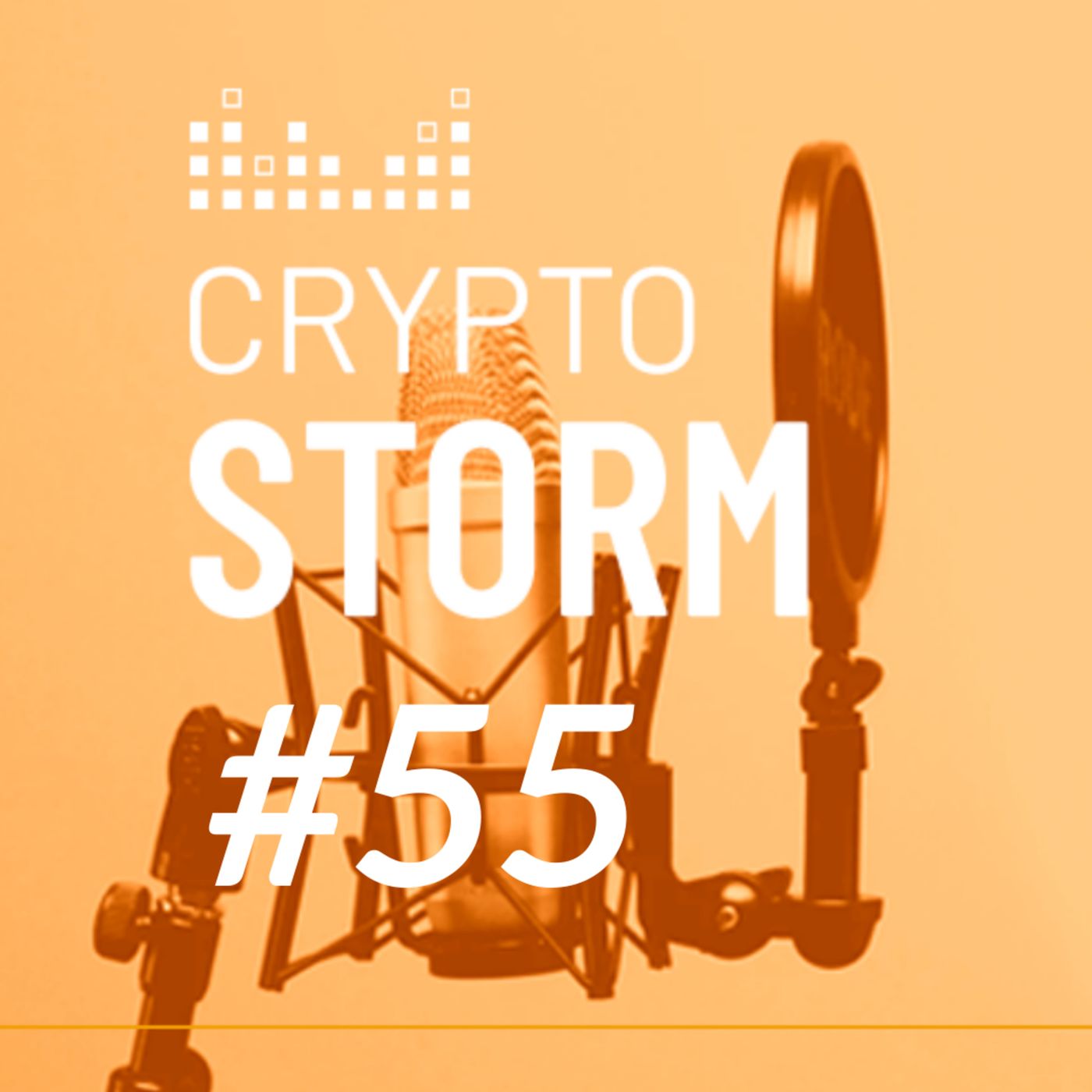 Crypto Storm