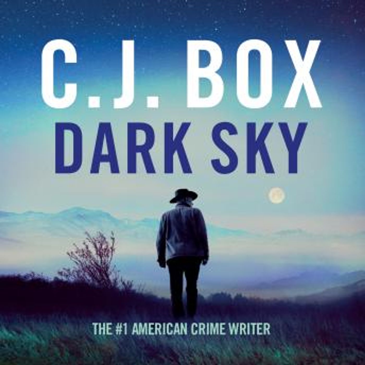 Discover Top Full Audiobooks in Mystery, Thriller & Horror, Police & Detective
