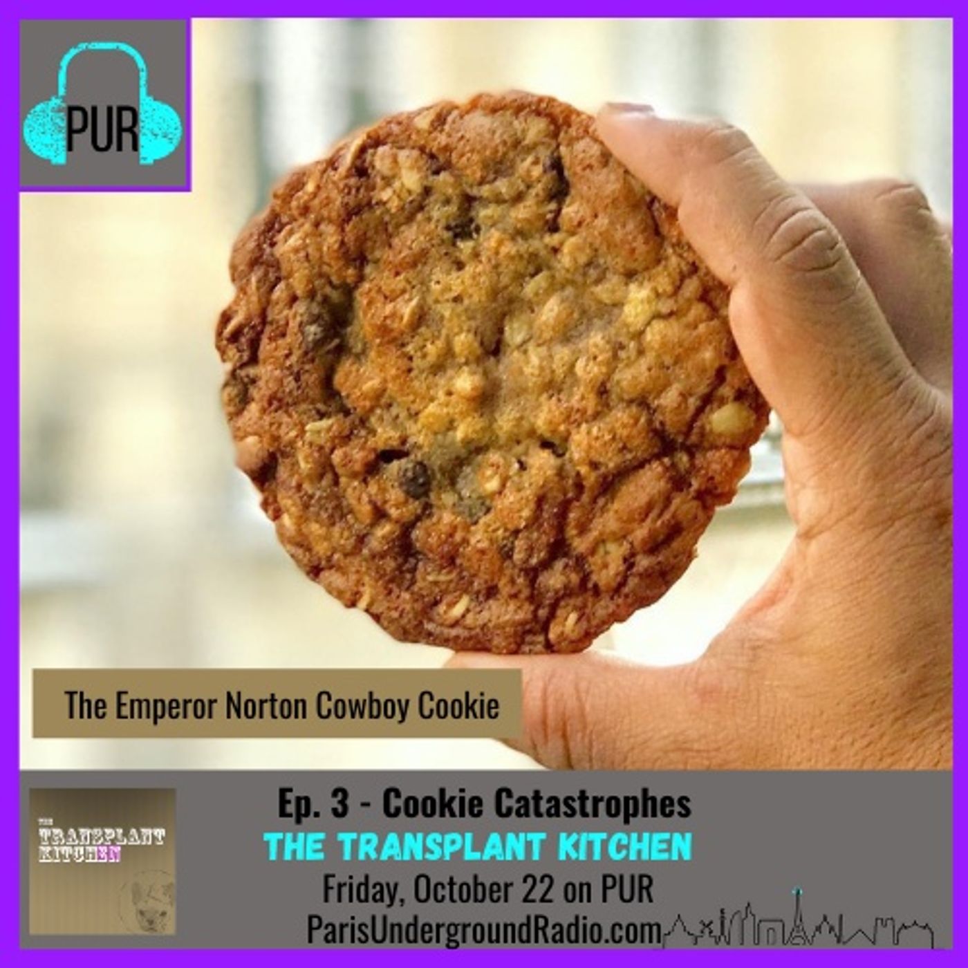 Cookie Catastrophes