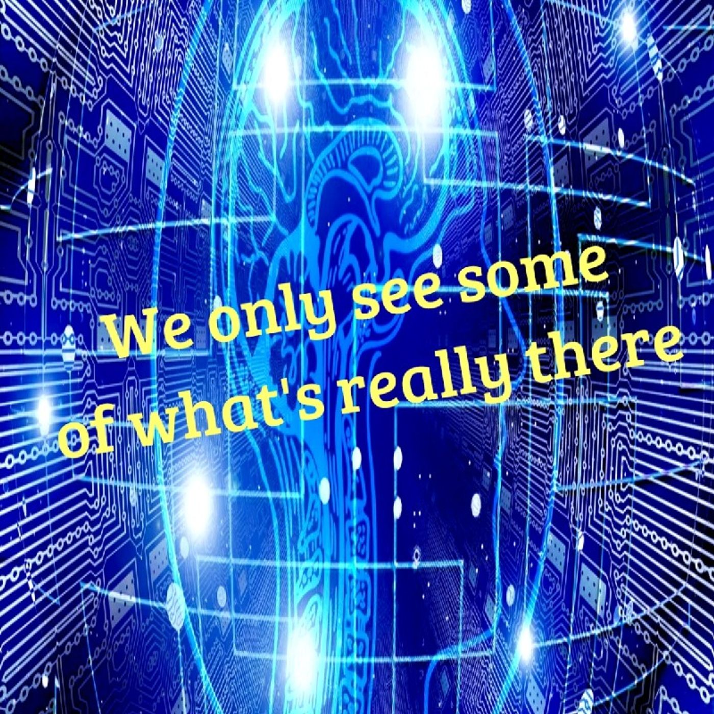 We Only See (Part 1) Episode 57 - Dark Skies News And information episode artwork