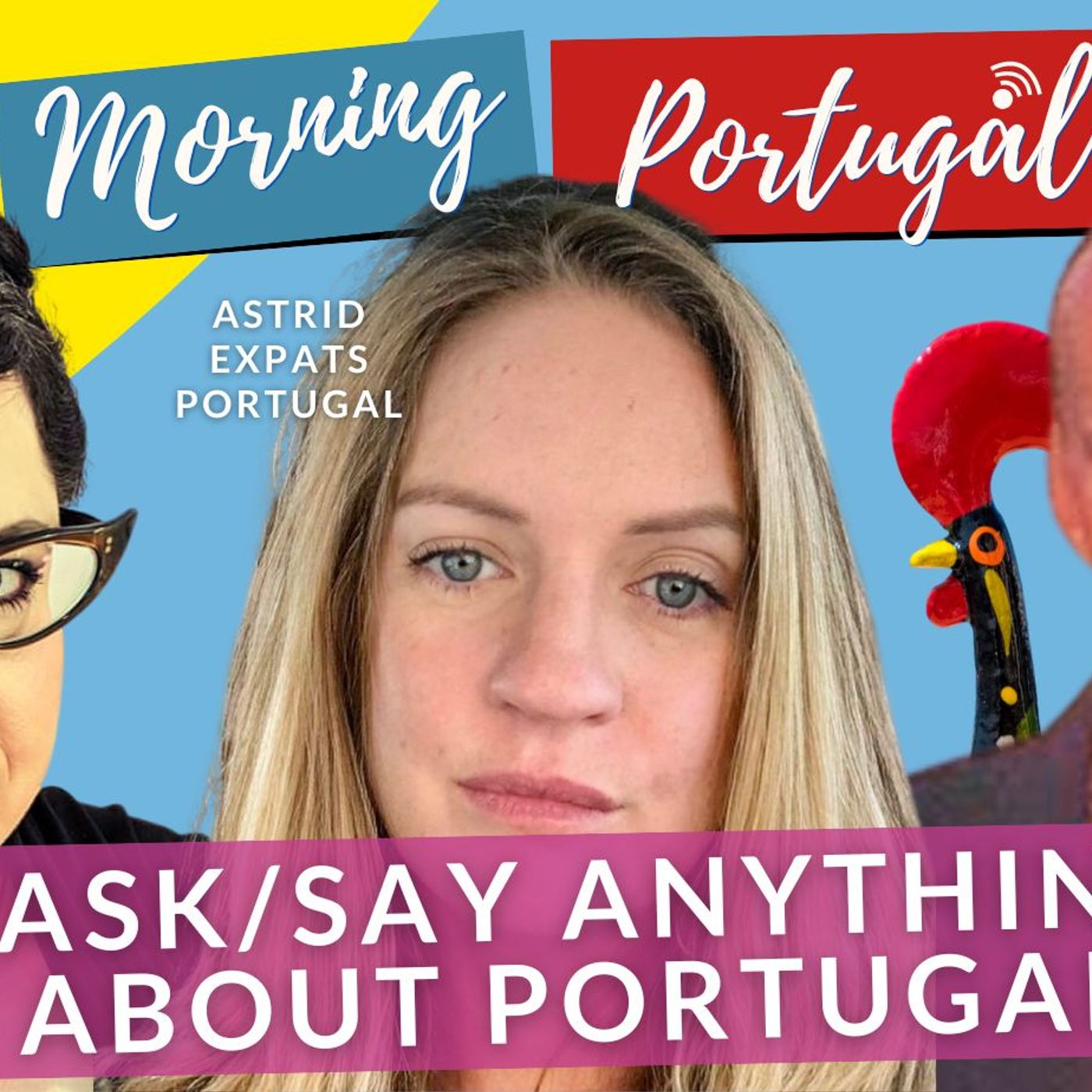 Pets on The Ground & A House in The Country on Good Morning Portugal!