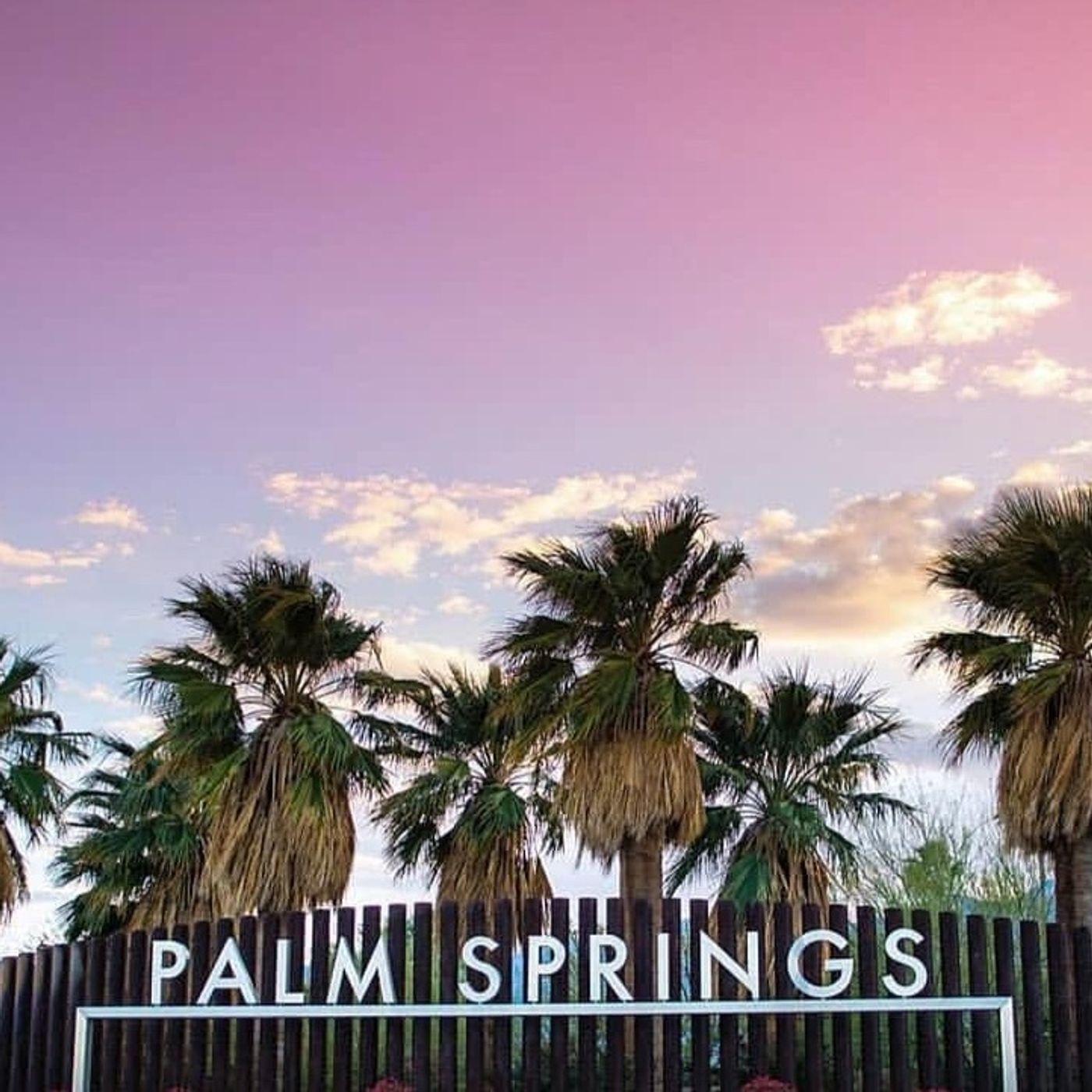A Very Special Palms Springs Thanksgiving Special episode artwork