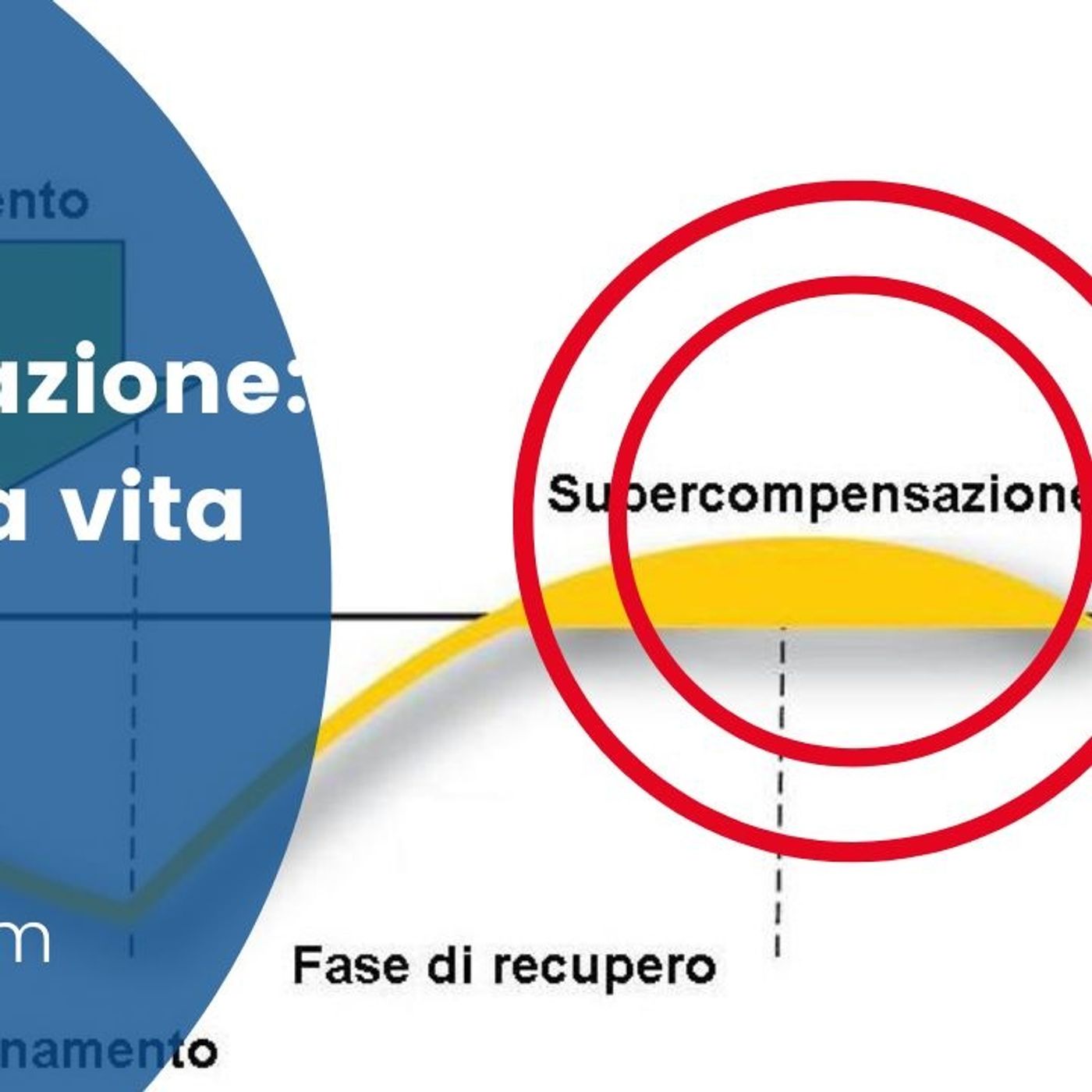 CiclismoPassione: Strategie per Vivere alla Grande la nostra Passione