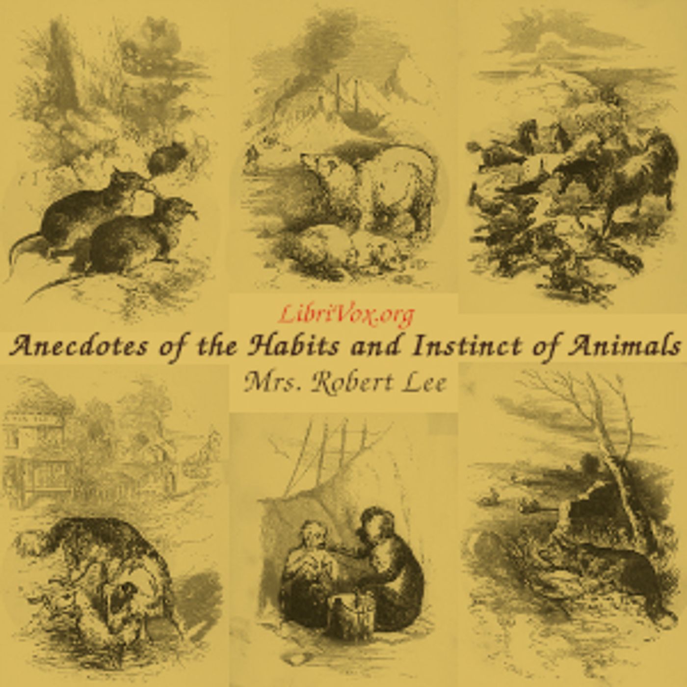Anecdotes of the Habits and Instinct of Animals by Mrs. Robert Lee (1791 - 1856)
